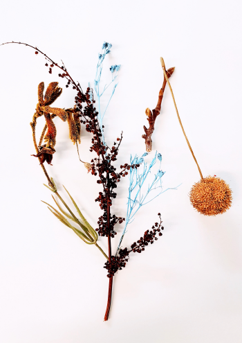Botanisk remix // Botanical remix #1