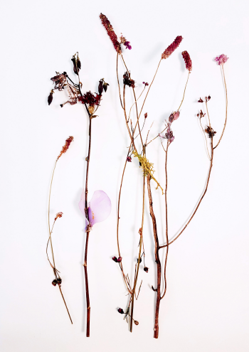 Botanisk remix // Botanical remix #8