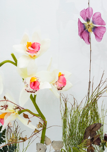 Botanisk remix // Botanical remix #9