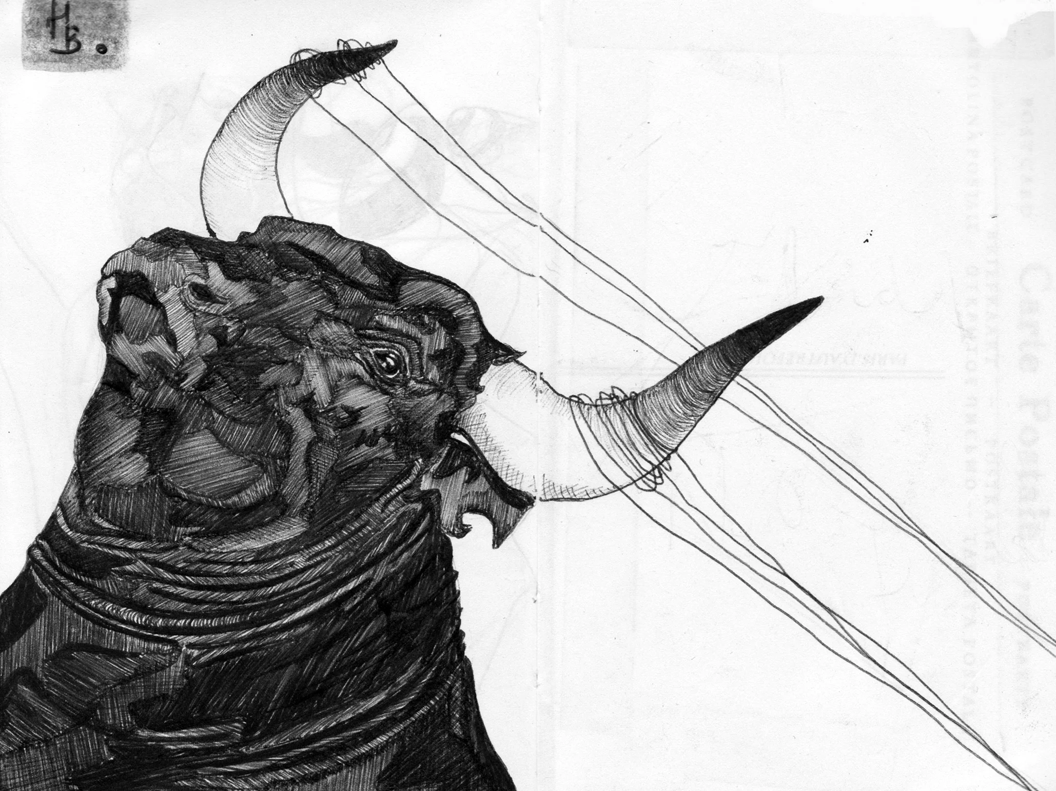 b:w scan 13.jpg