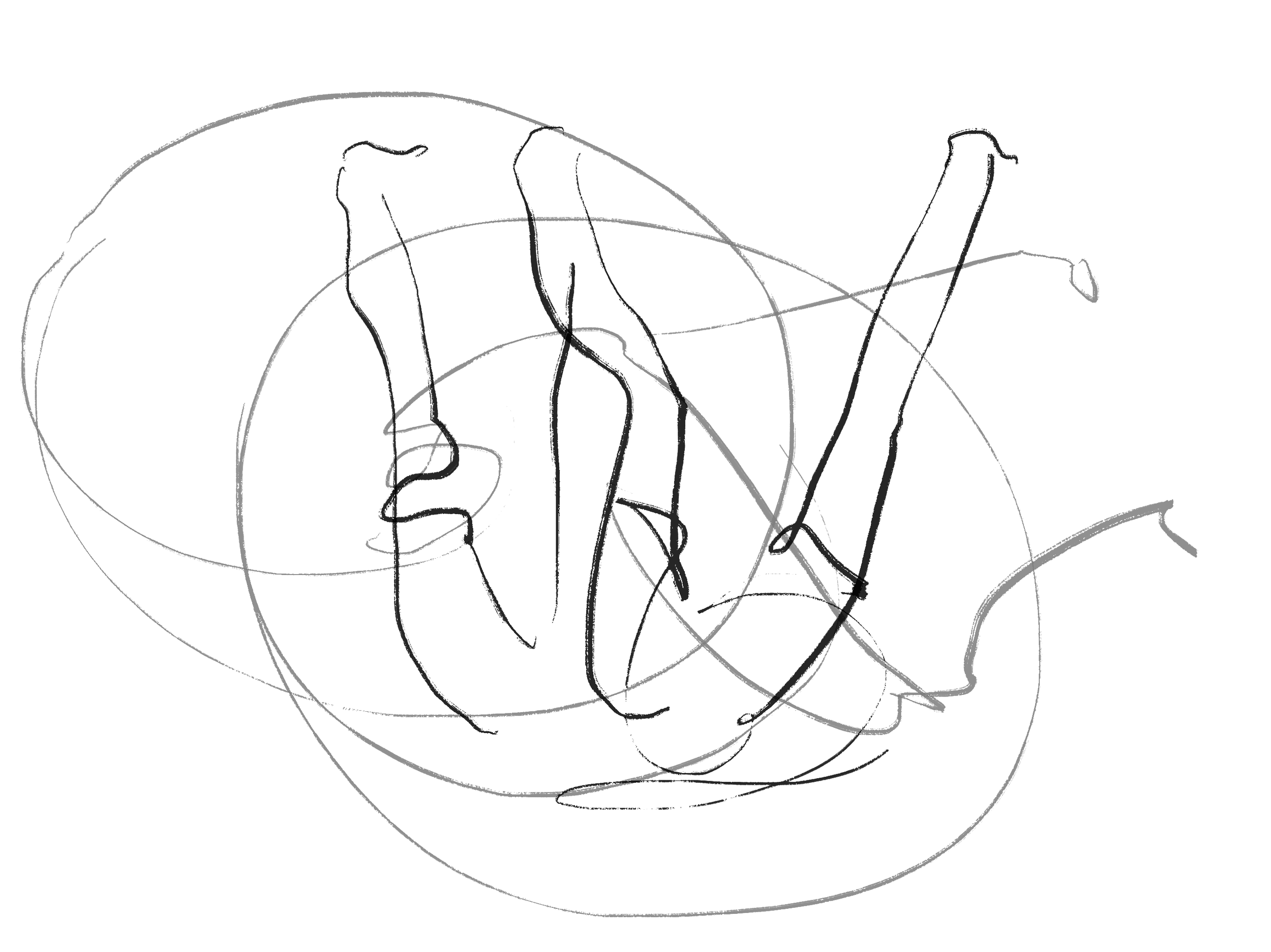 IMG_0054.PNG