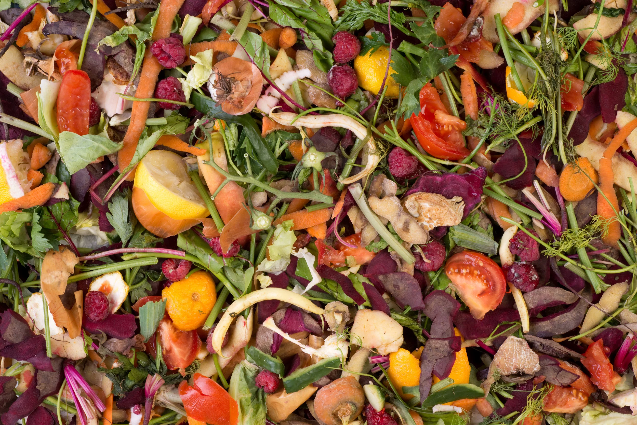 Pileofcompostingnaturalwaste.jpg