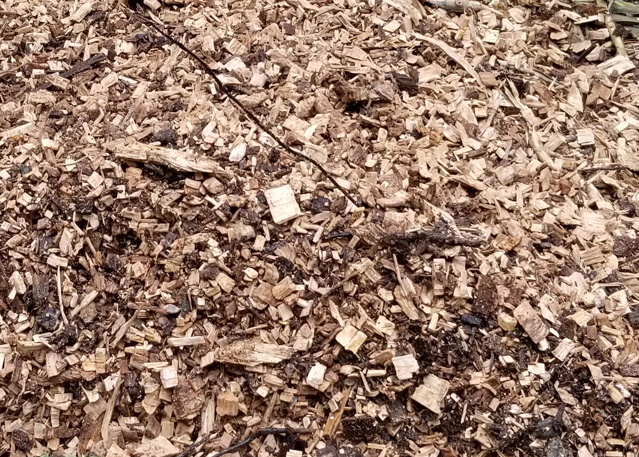 woodchips.jpg