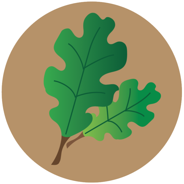 lecanium-scale-icon.png