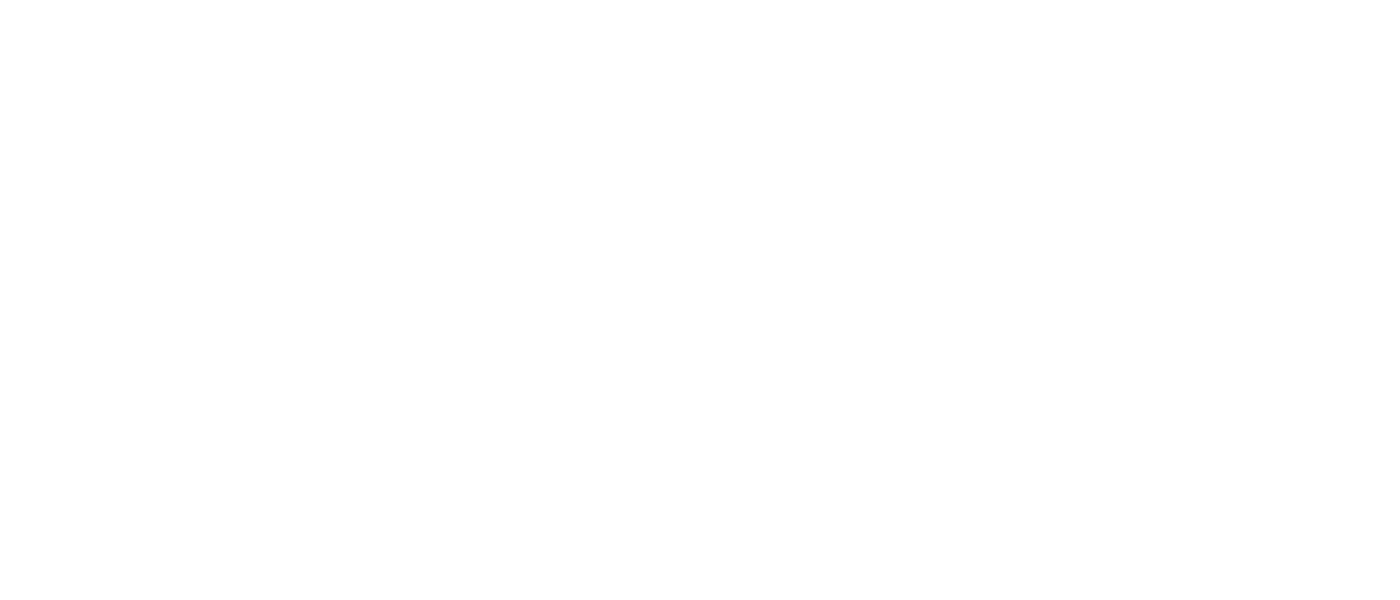 icon-globe.png