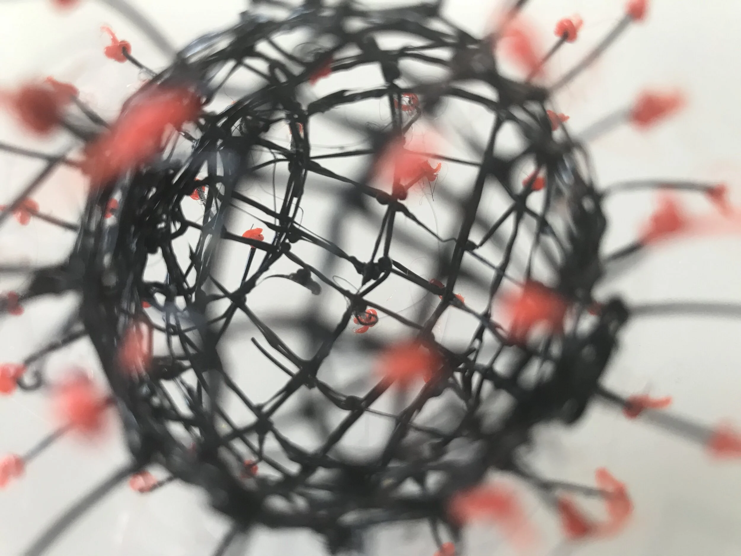 COVID-19 - Our Response