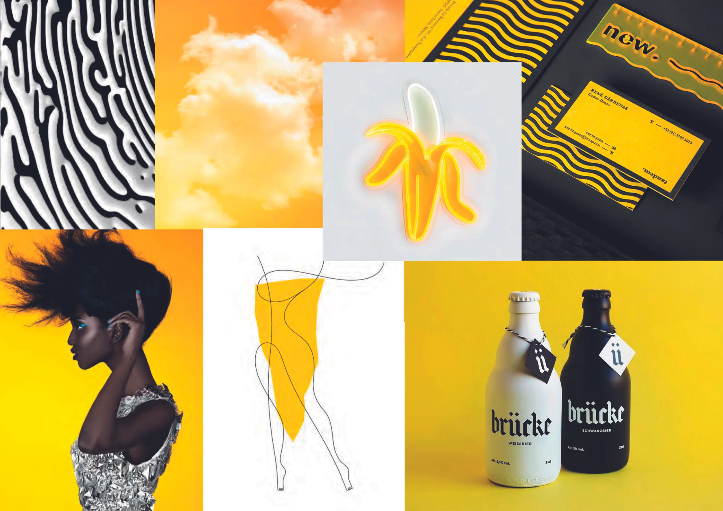 Cat Color _ yellow.jpg