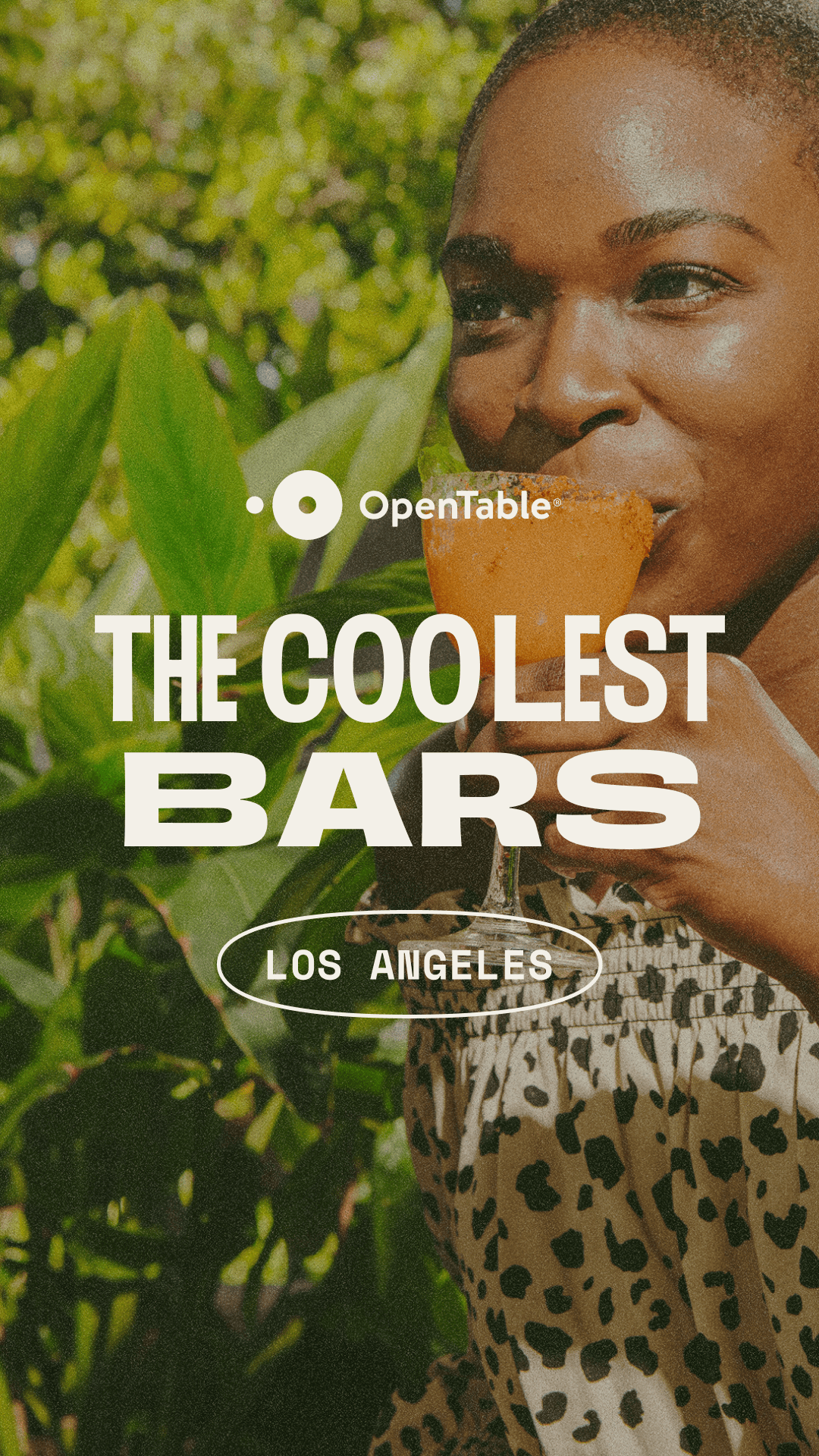 Summer Travel_CoolBars_2.gif