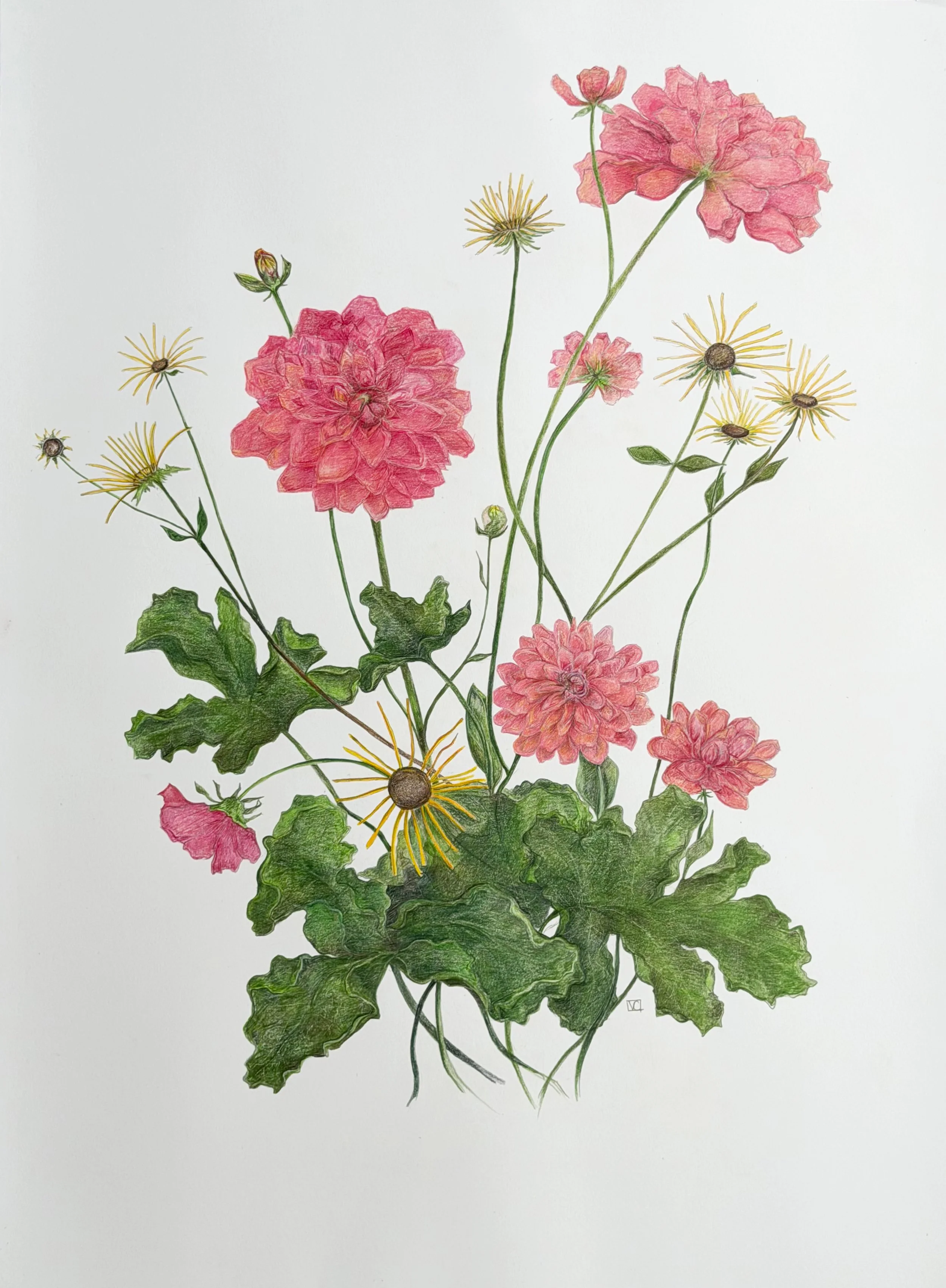 Botanical Arrangement I