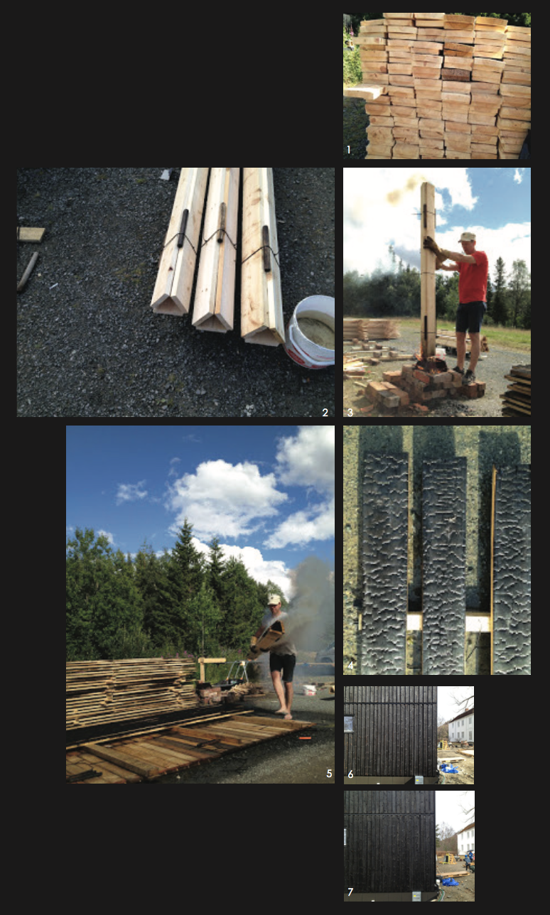 forkull_ collage kristin.png
