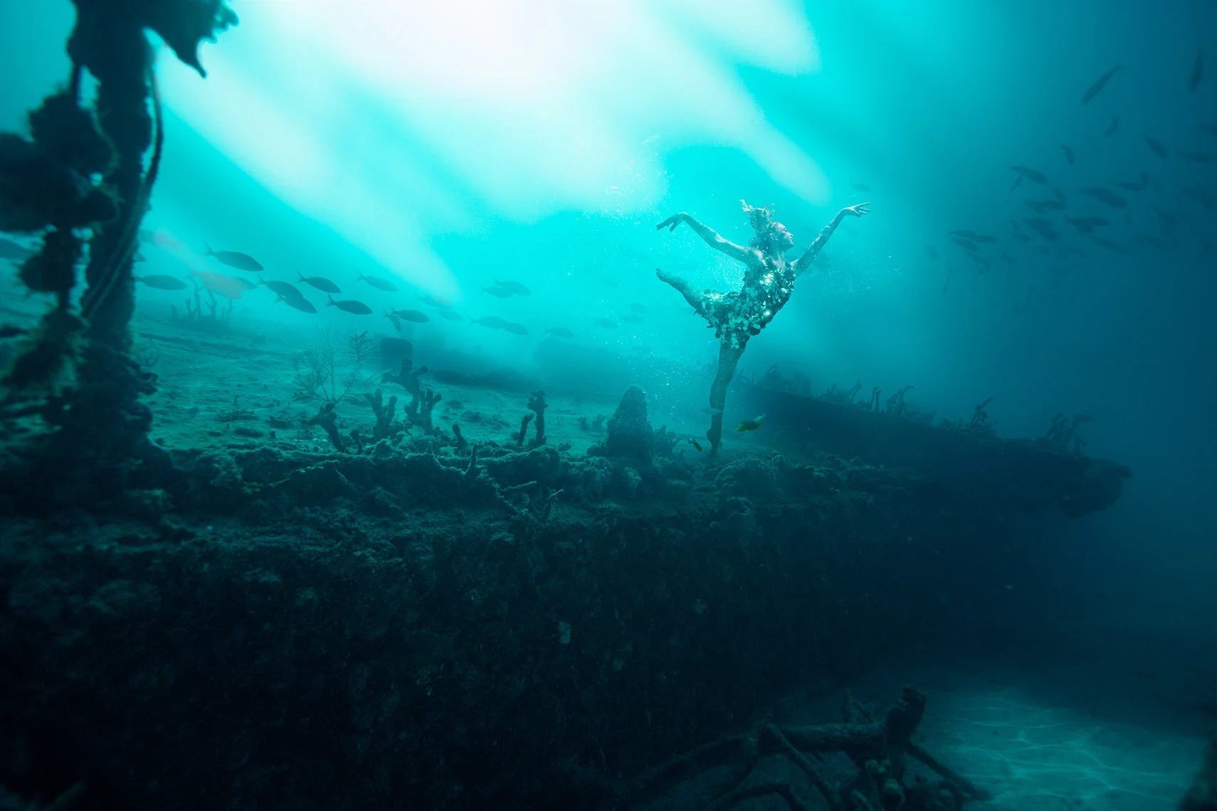 UW_Wreck_SeaEmperor_3_9_14_0183_r1flatweb.jpg