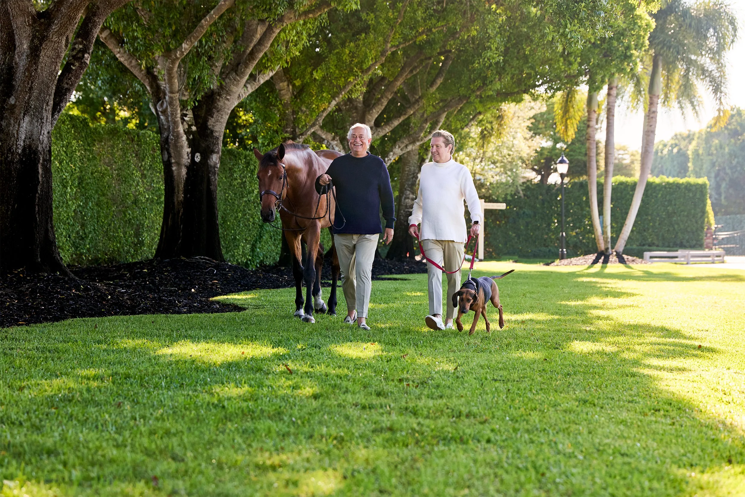 badgley-mischka-horse-dog-south-florida.jpg