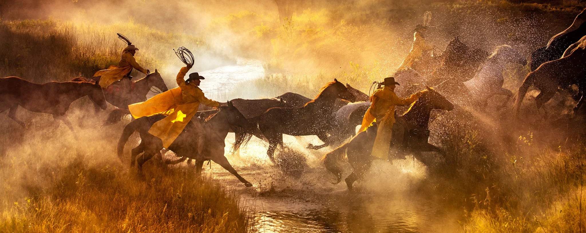 Cowboys driving cattle through a river at golden hour in a cinematic western landscape