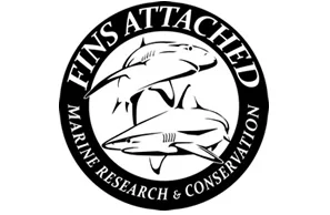 Fins_Attached_logo+(1).jpg