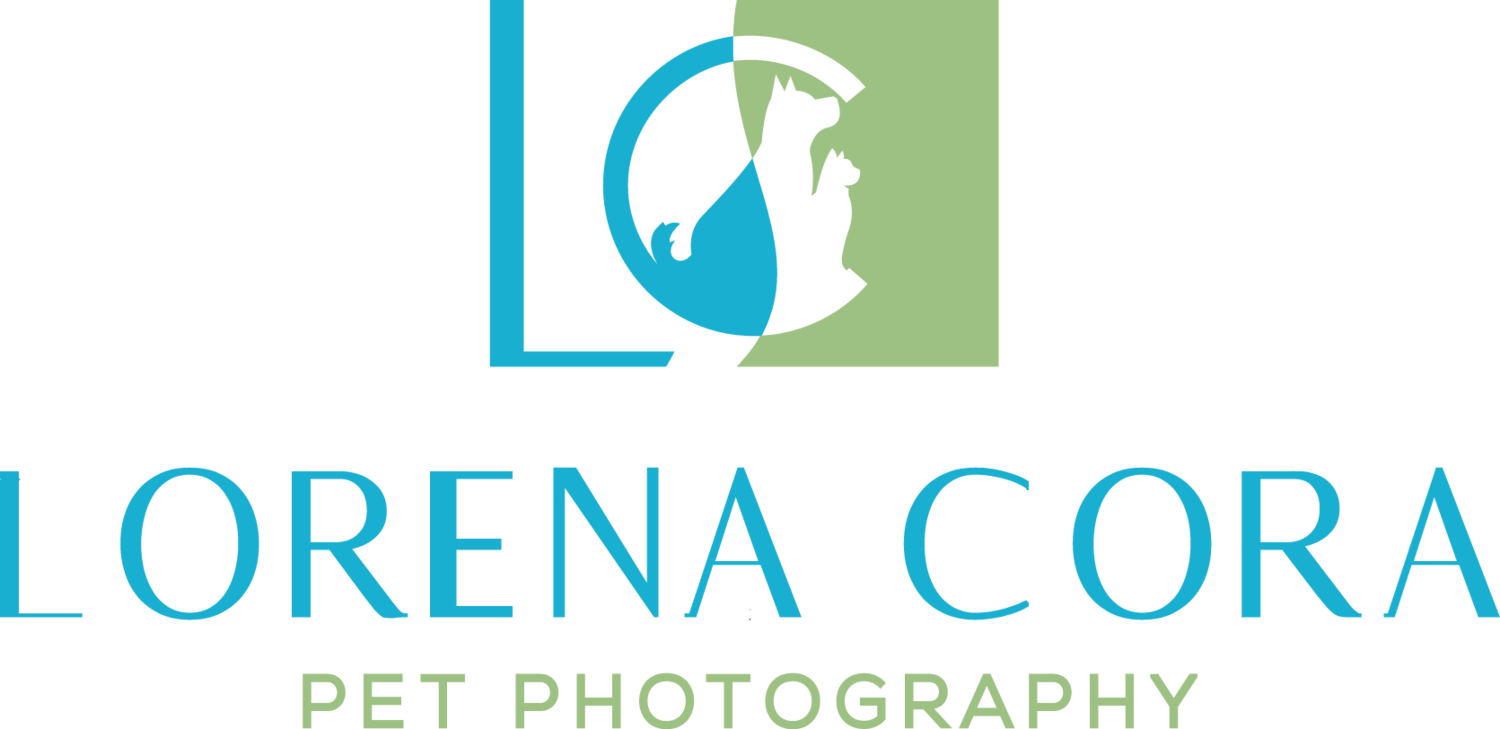 Lorena Cora Pet Photography