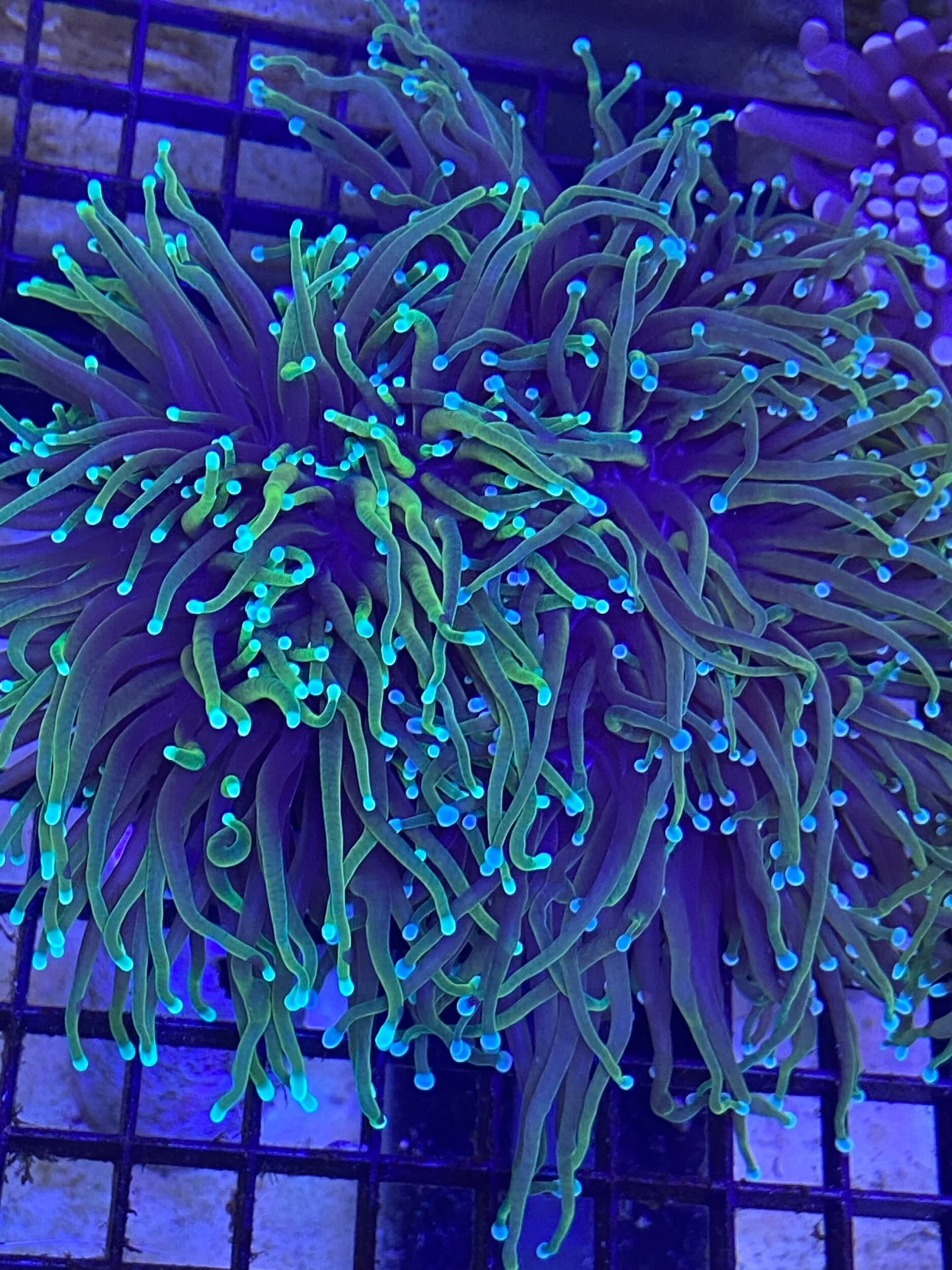 73FC1ADC-D30A-4238-A814-682C63C9BD7F