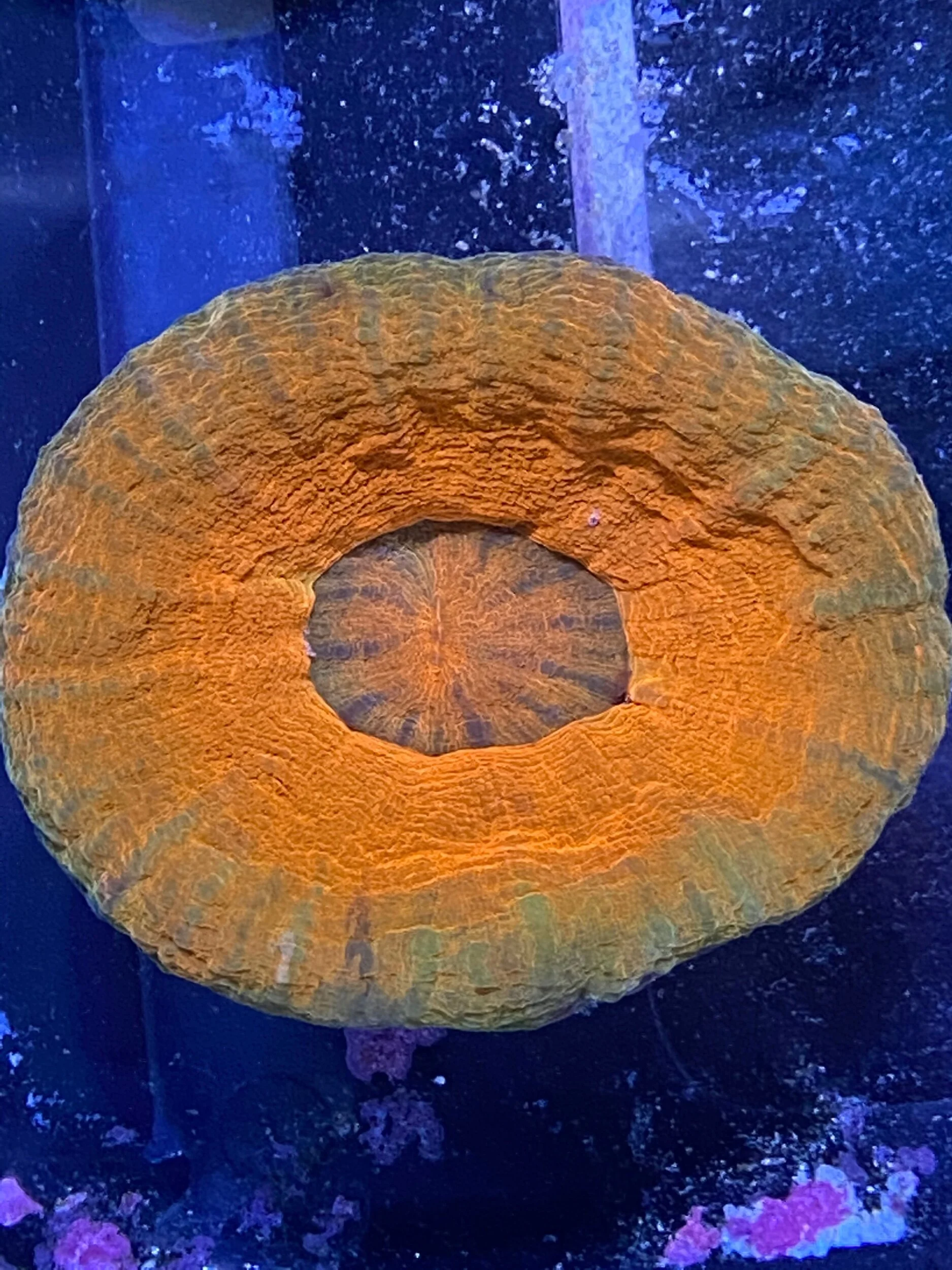 B12C3C34-780C-45CF-8016-6924992306A7