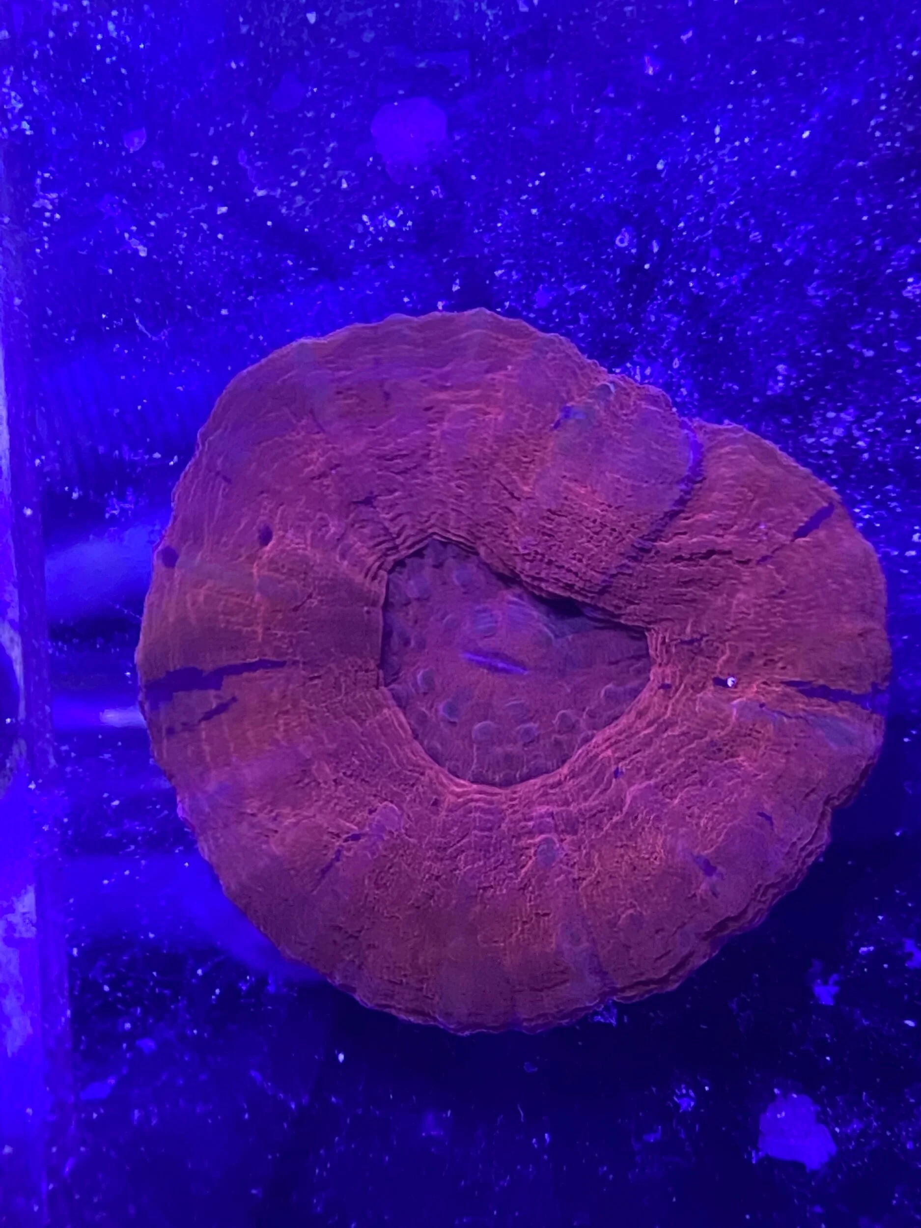 1FD5E3D8-514E-4A5D-B985-5F81E655D1FA