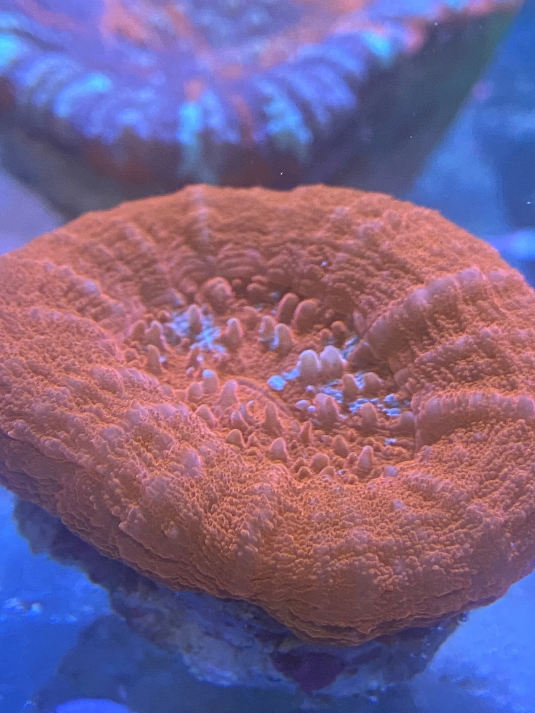 40DC554D-1B0B-44F5-AA4F-E27C3DFCF3B3