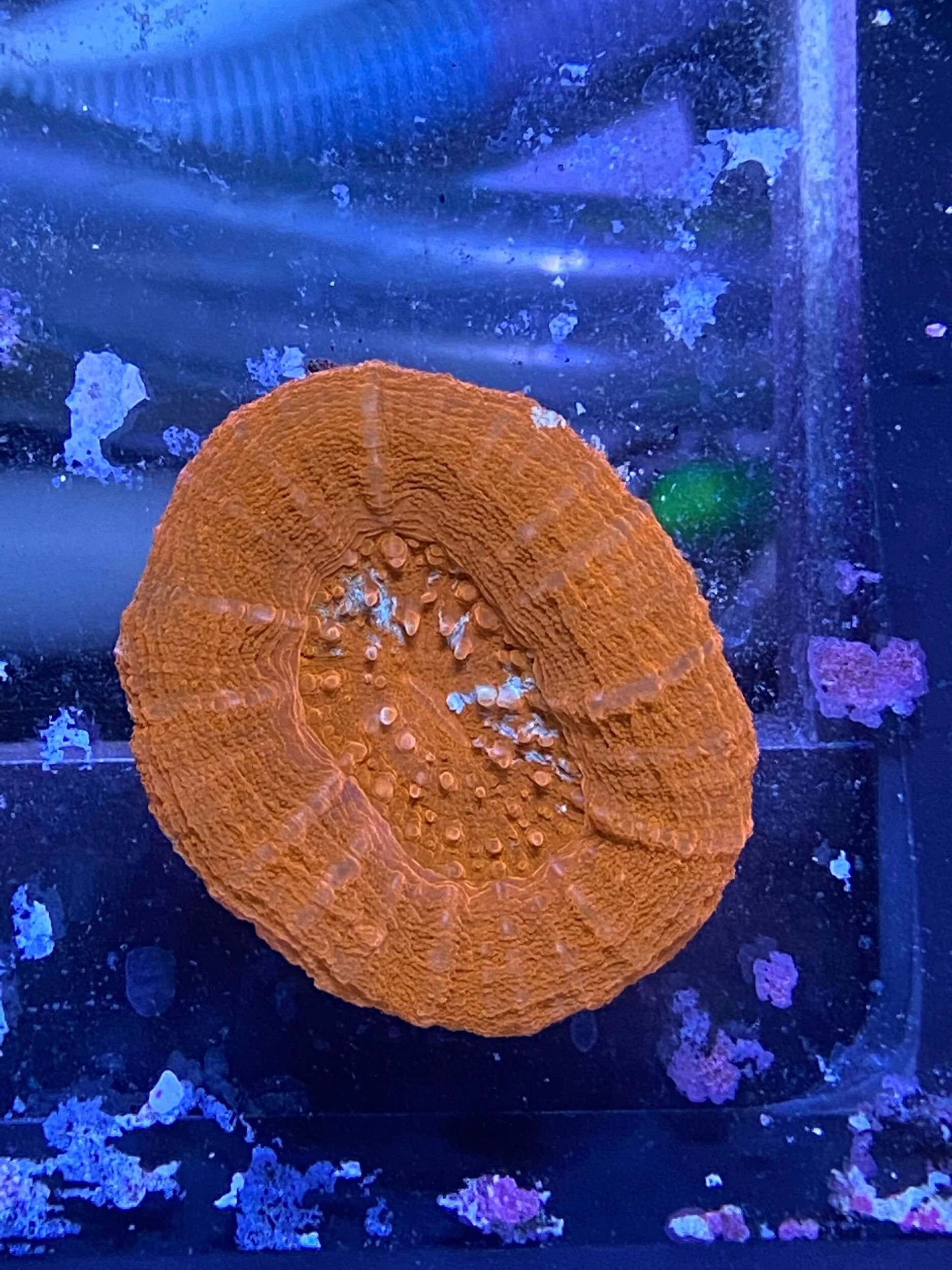 B1D1E522-18E0-4A55-B4D2-E7192BF94976