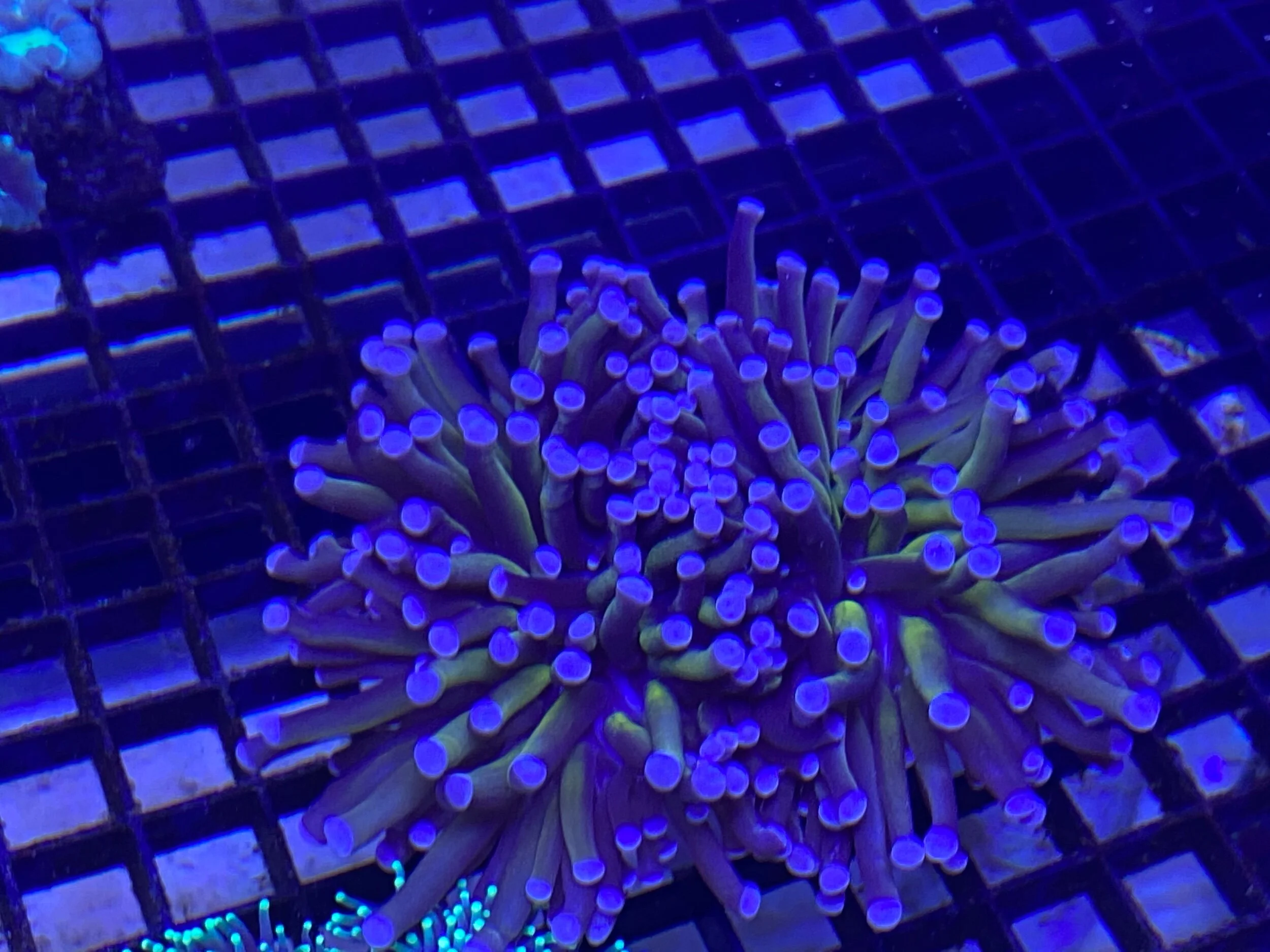 4AC37CFB-0844-4EF1-9901-2683023F38AB