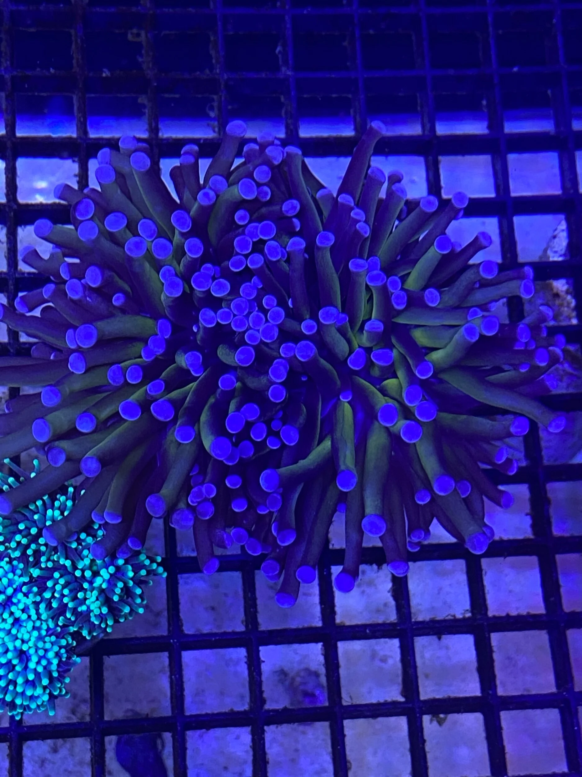 656BA02E-0DA5-4113-A953-3C2189A2BE8E