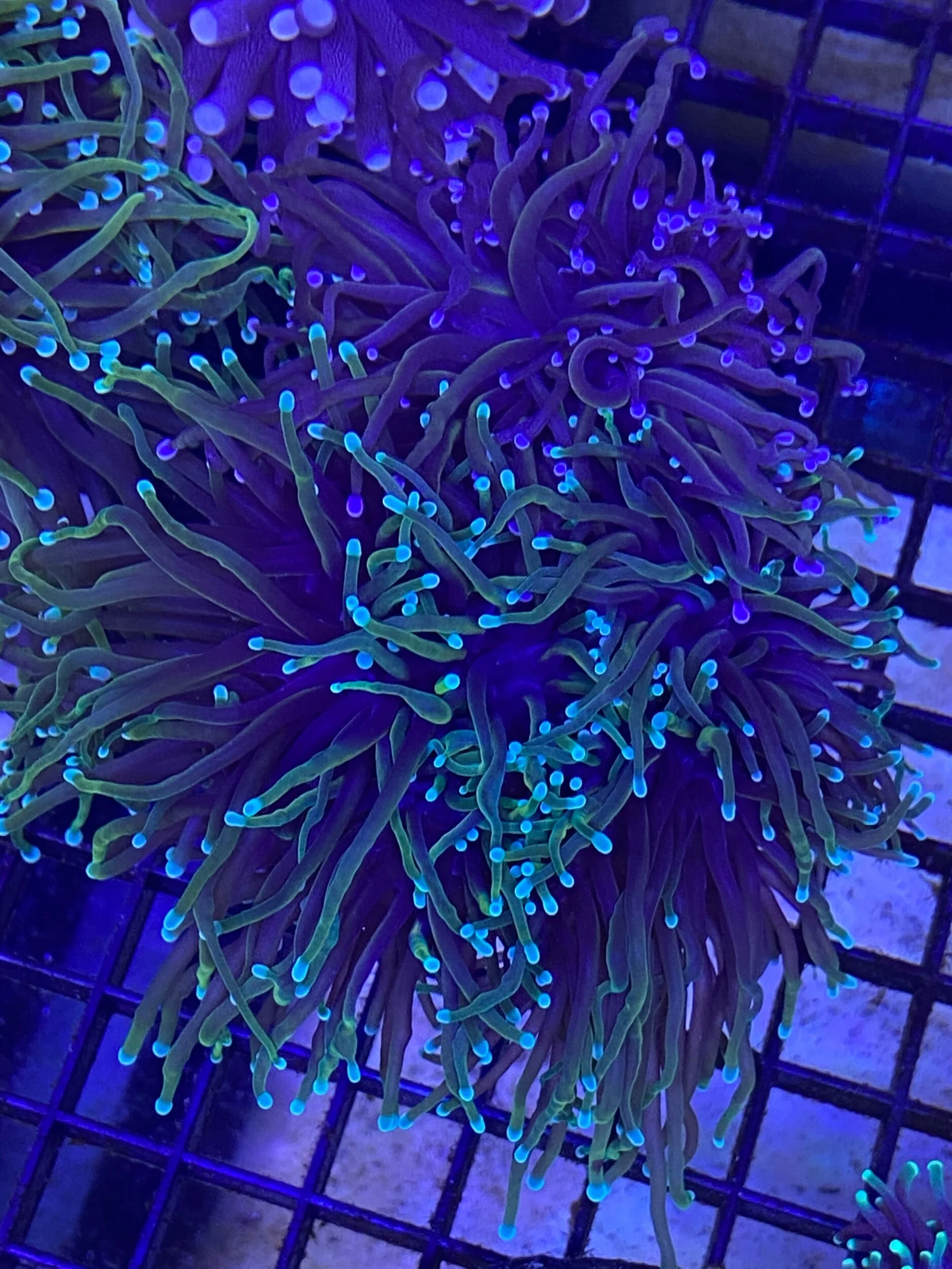 11852888-8048-4E86-BBBF-8636070AACEA