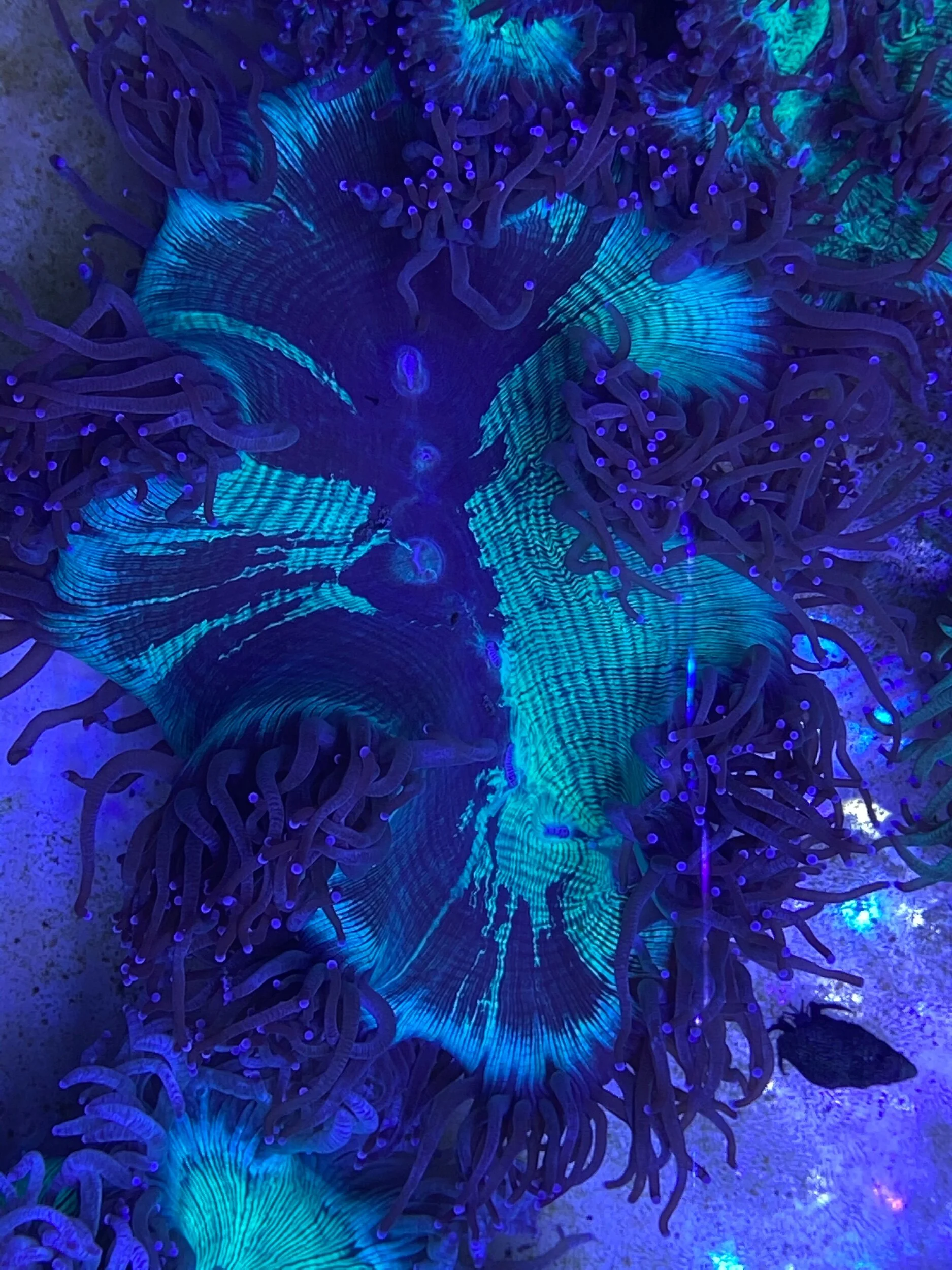 CC48B4D1-8CC7-4A4E-BB63-5979AE4499AD