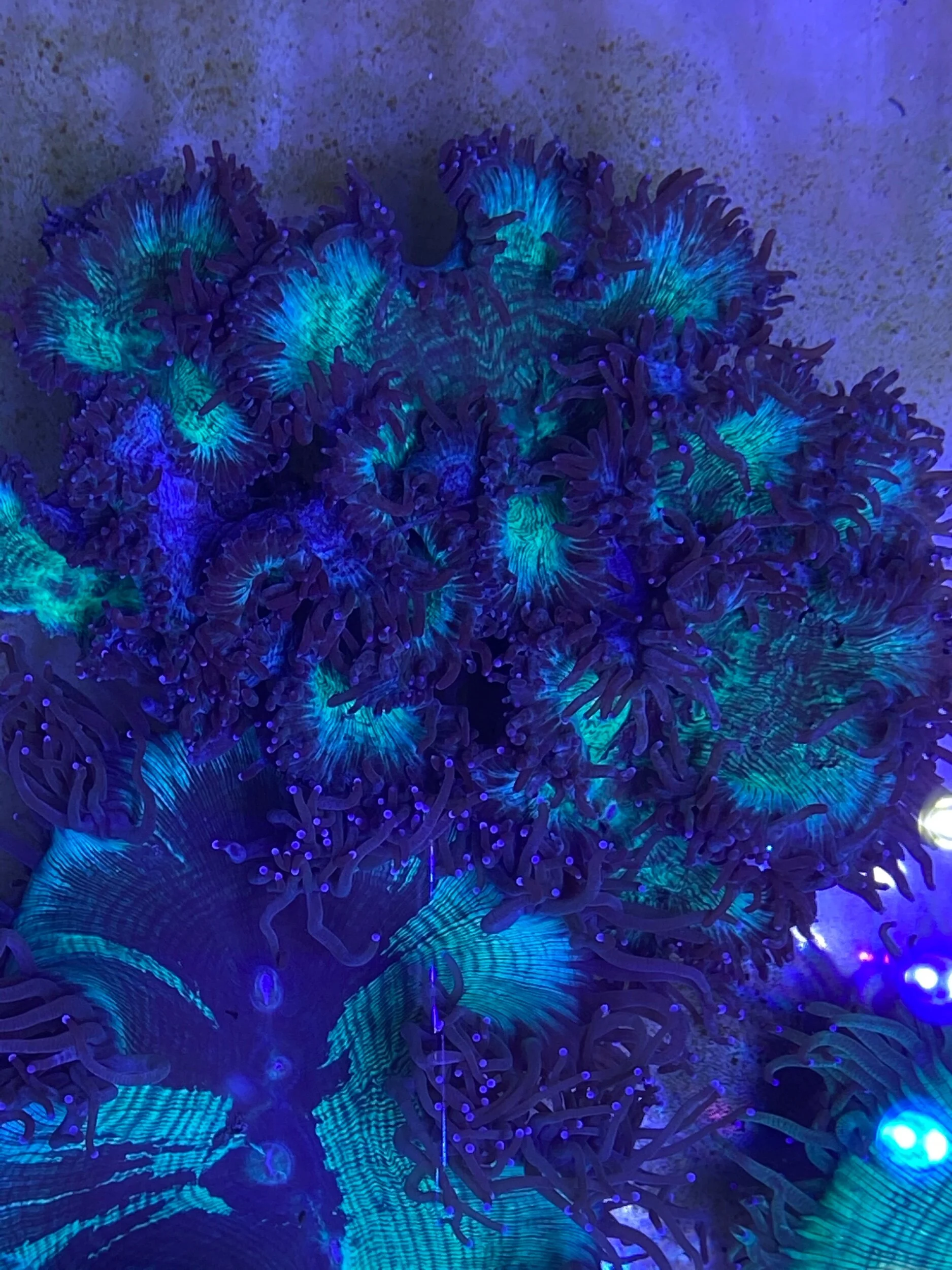 956ECE50-2705-4932-A025-C0825A51B58C