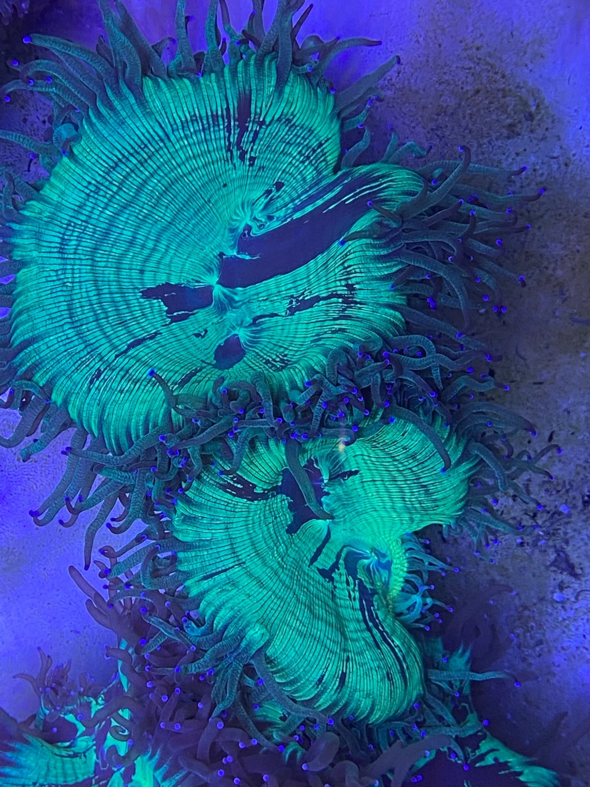 6B15E0F3-9A92-4781-A48A-FBEE810F154A