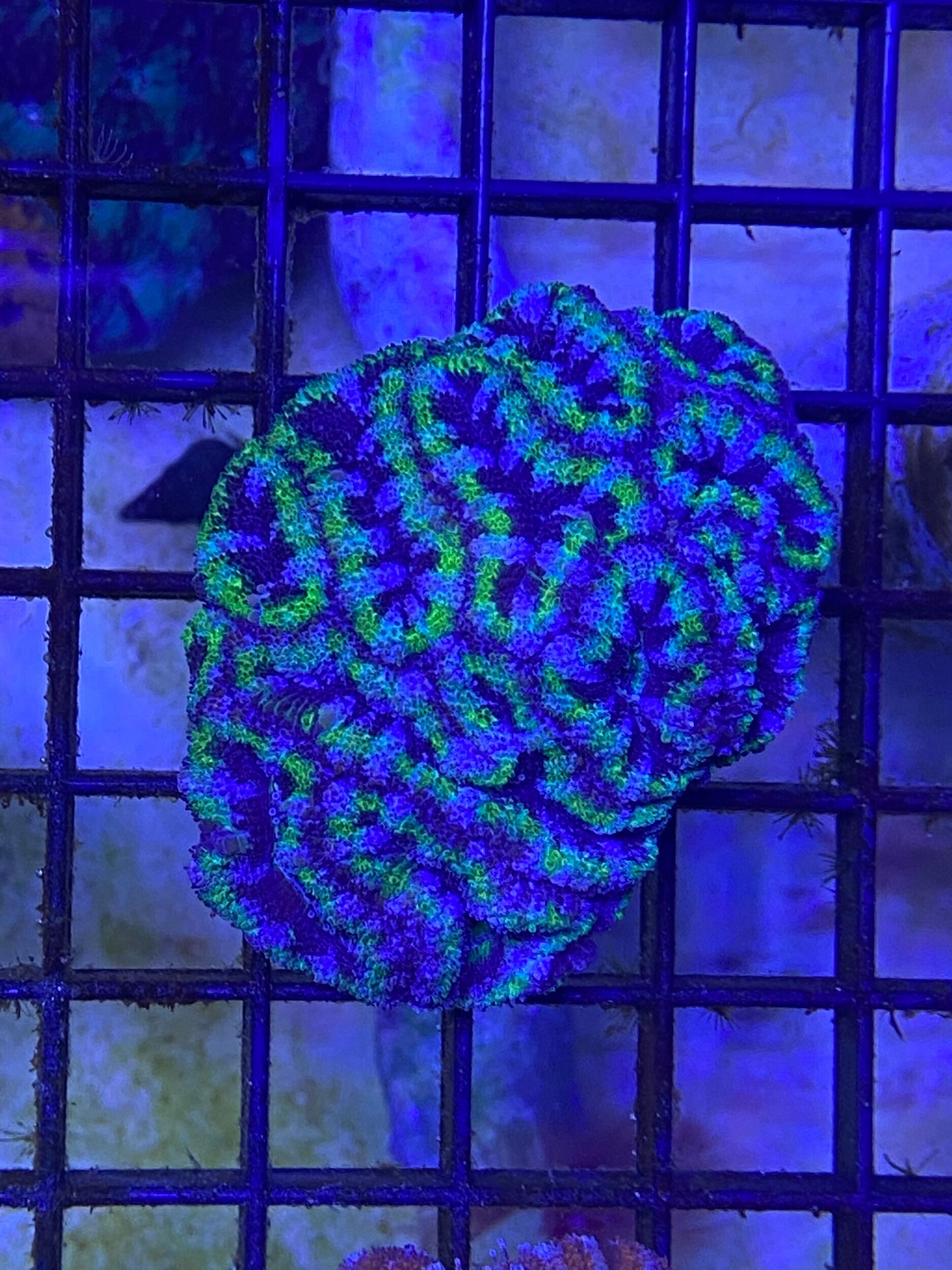 F94C005E-369A-4742-95F6-EF1C18D53051