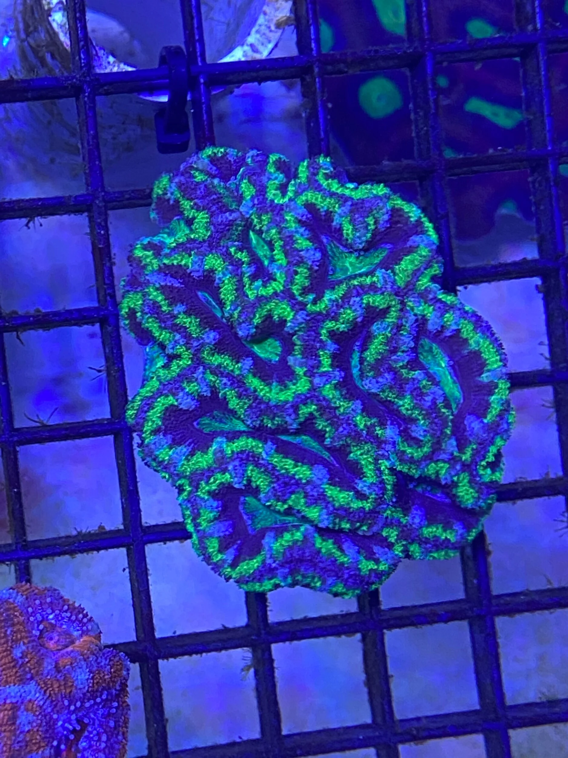 5B93CA73-289B-414C-9DC5-01DB27BF5032