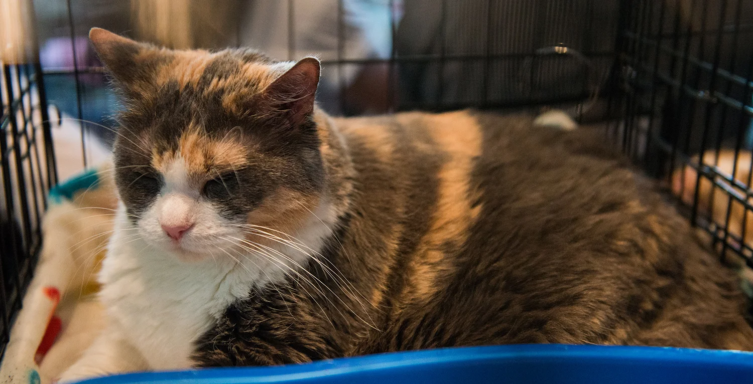 DSC_3118.jpg