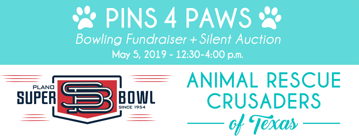 pins4paws2.png