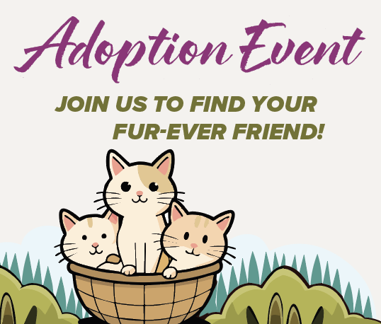      

 
    SATURDAY    September 19th, 2026    12PM-3PM    Allen TX Petco    816 W McDermott Dr.    Allen, TX 75013  
 




















  
  



     