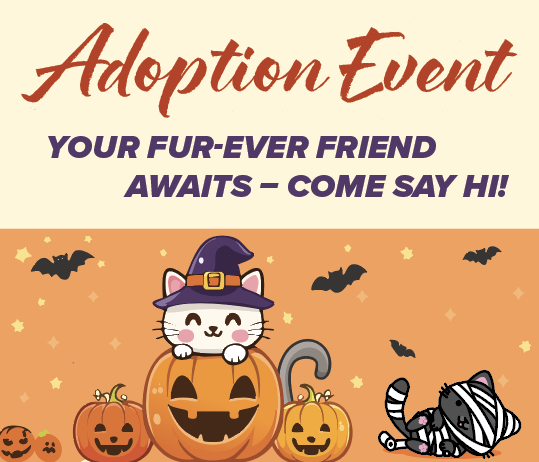 Adoption Event