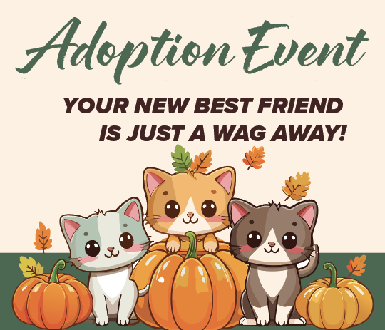 Adoption Event