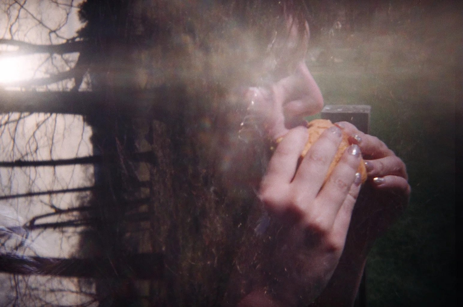 Burger in the Woods