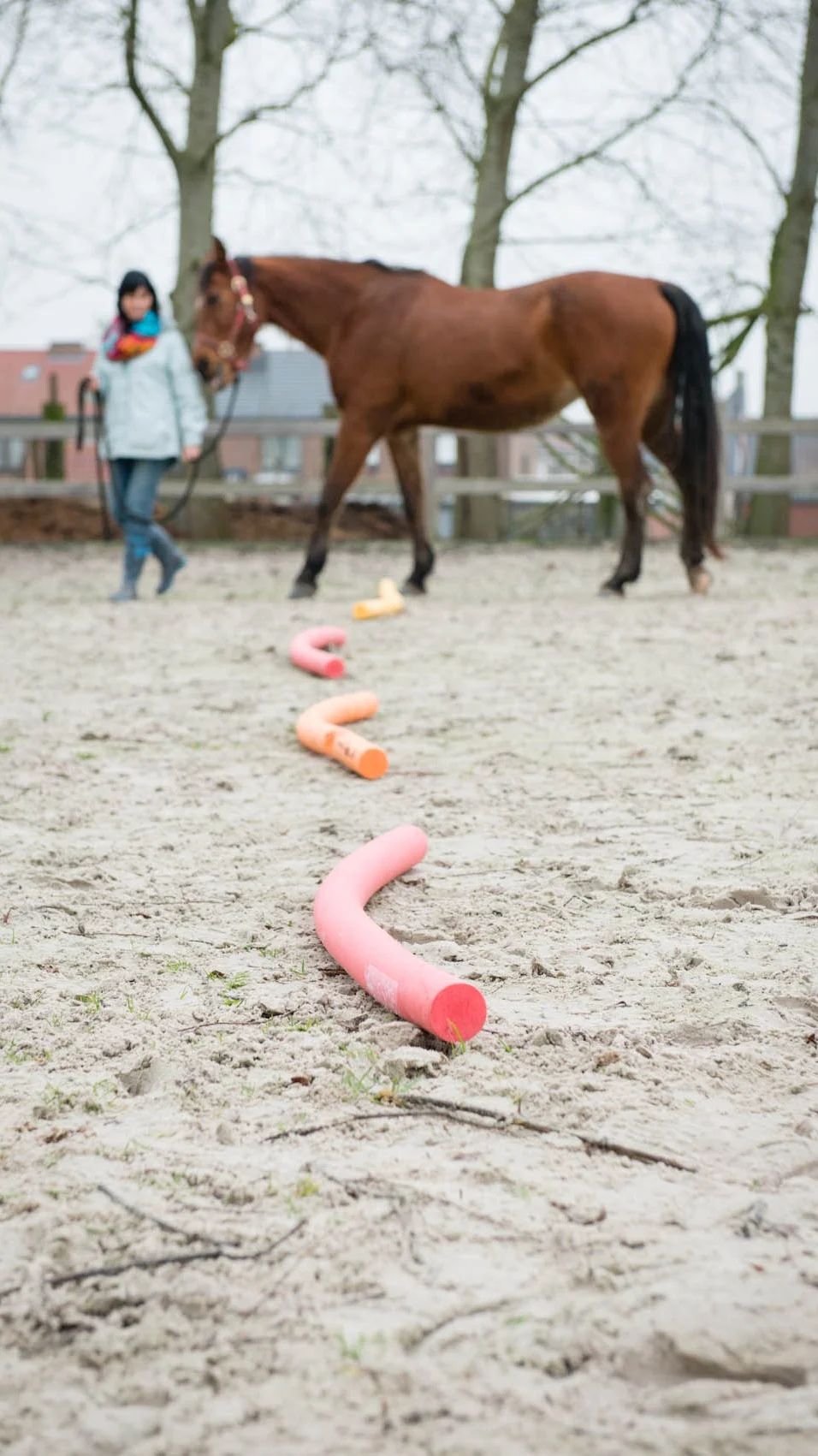 paardencoaching taster.jpg
