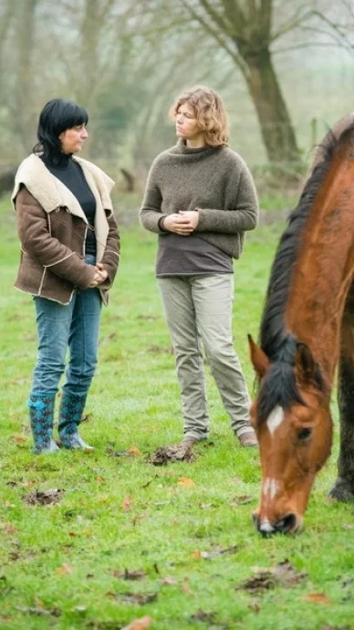 Paardentherapie.jpg