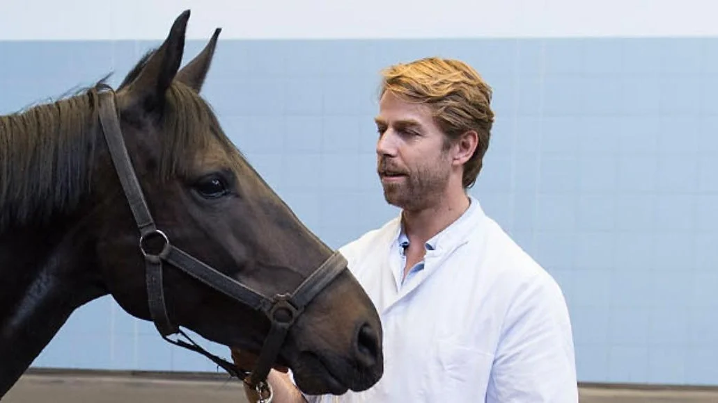 Paardencoaching in gezondheidszorg.jpg