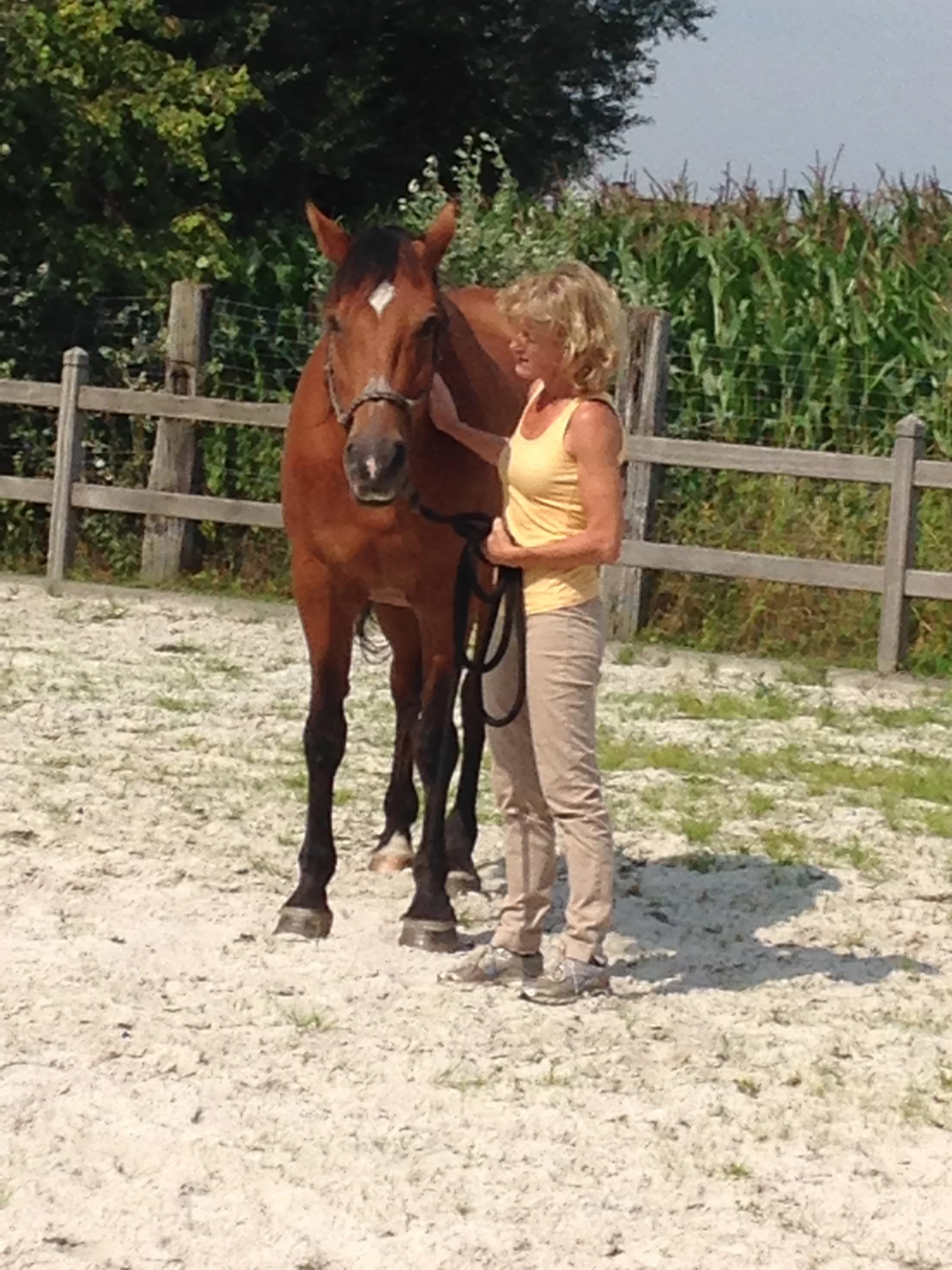 Energie balans - The Art of Extreme SelfCare        