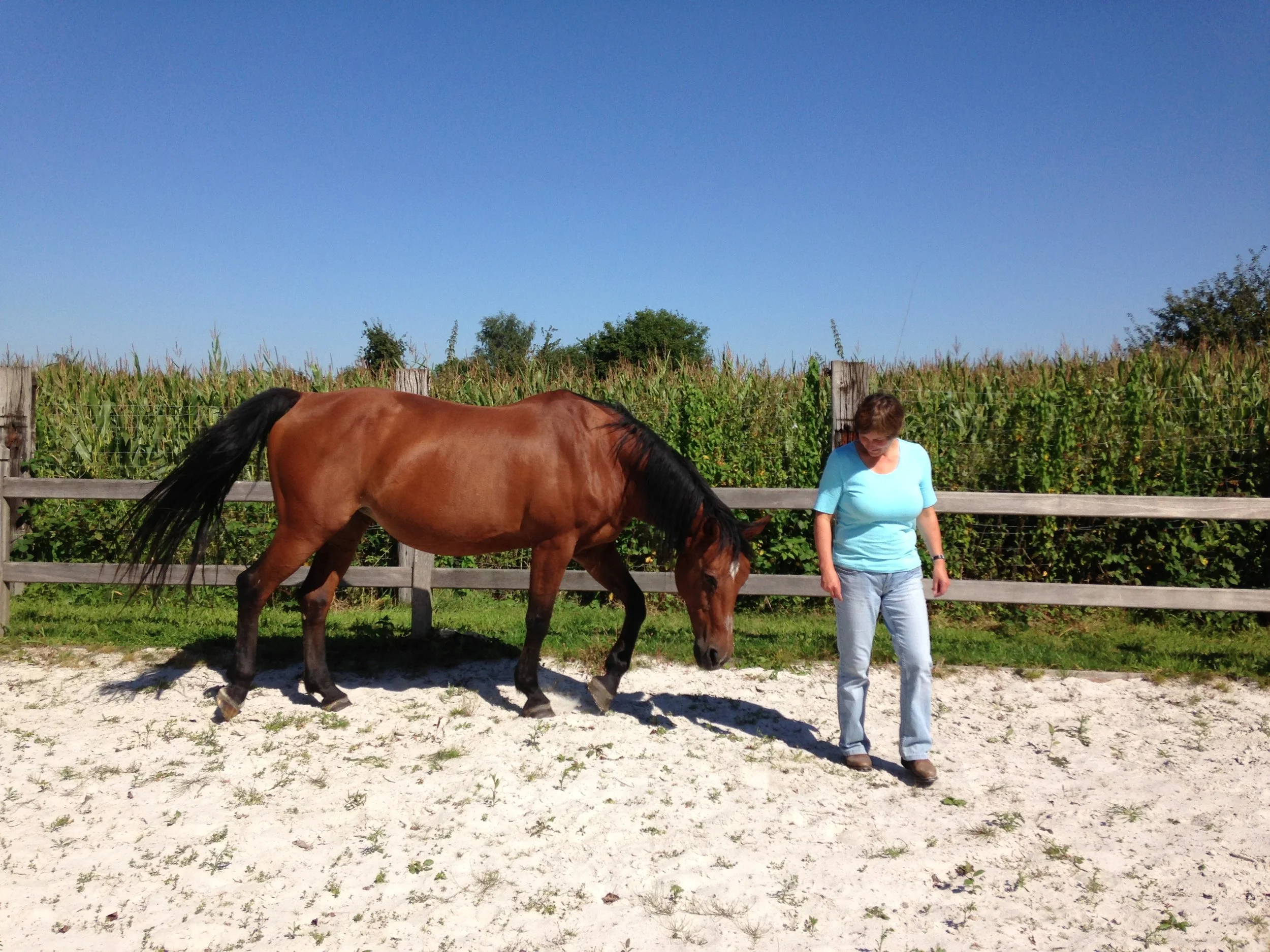 Long Term Training   module 1