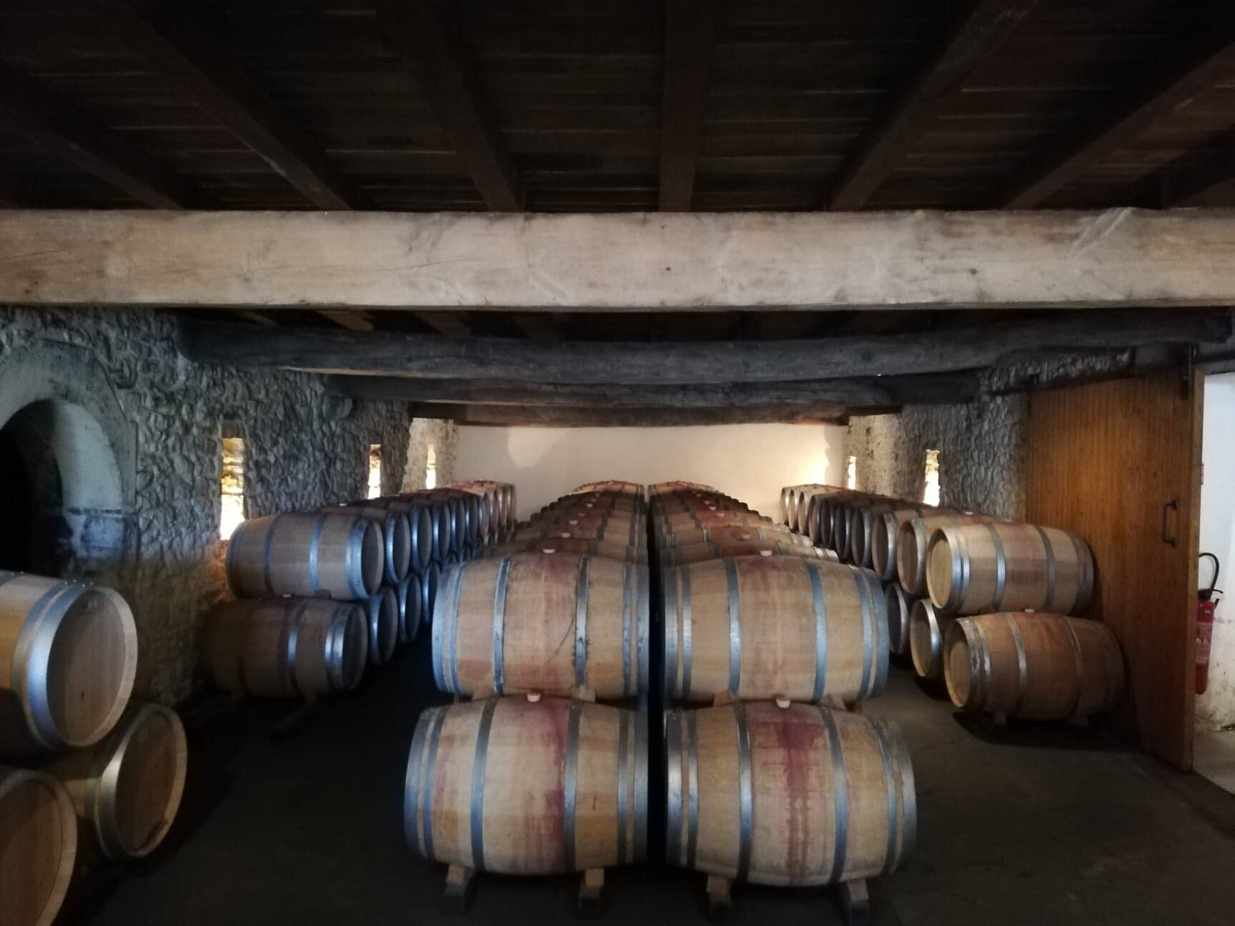 Wine Tours