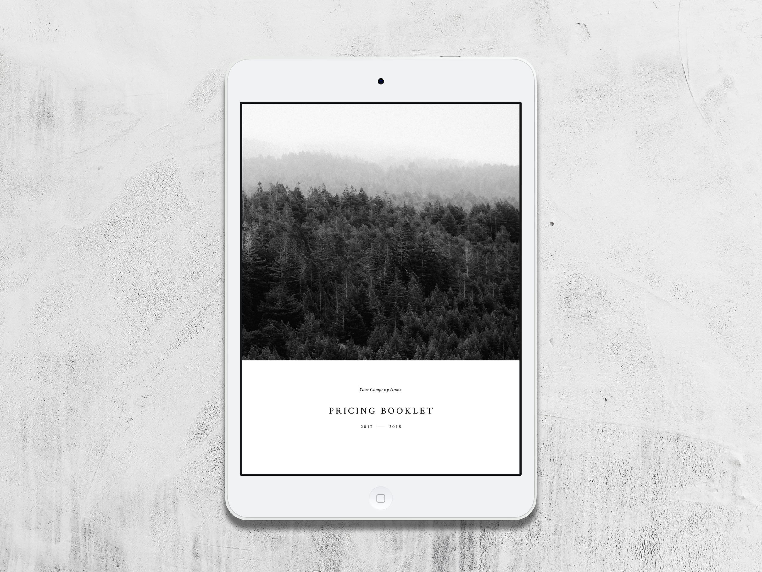 PricingBooklet-1.png