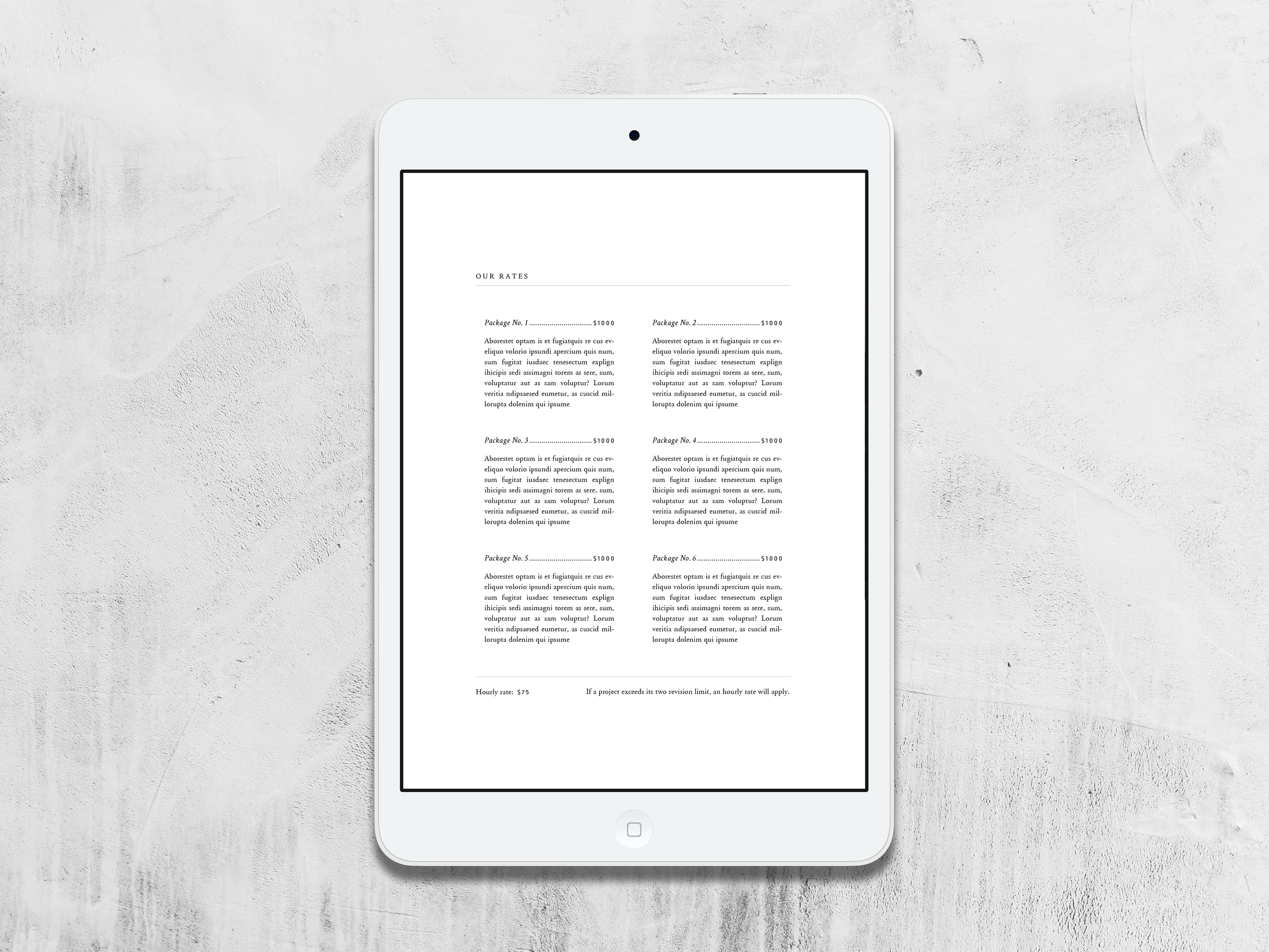 PricingBooklet-5.png