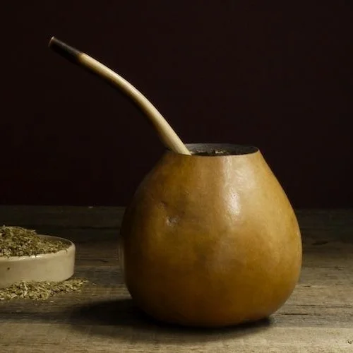 bombillo_bellocq_gourd.jpg