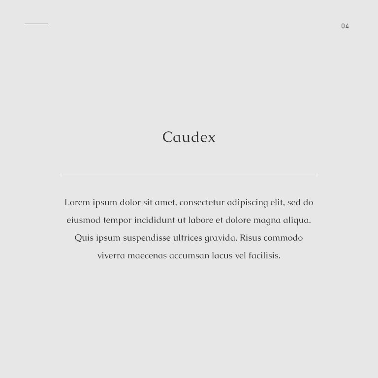 Caudex-Free-Google-Fonts-Wellness-Minimal-Simple-Soft-Typography.png