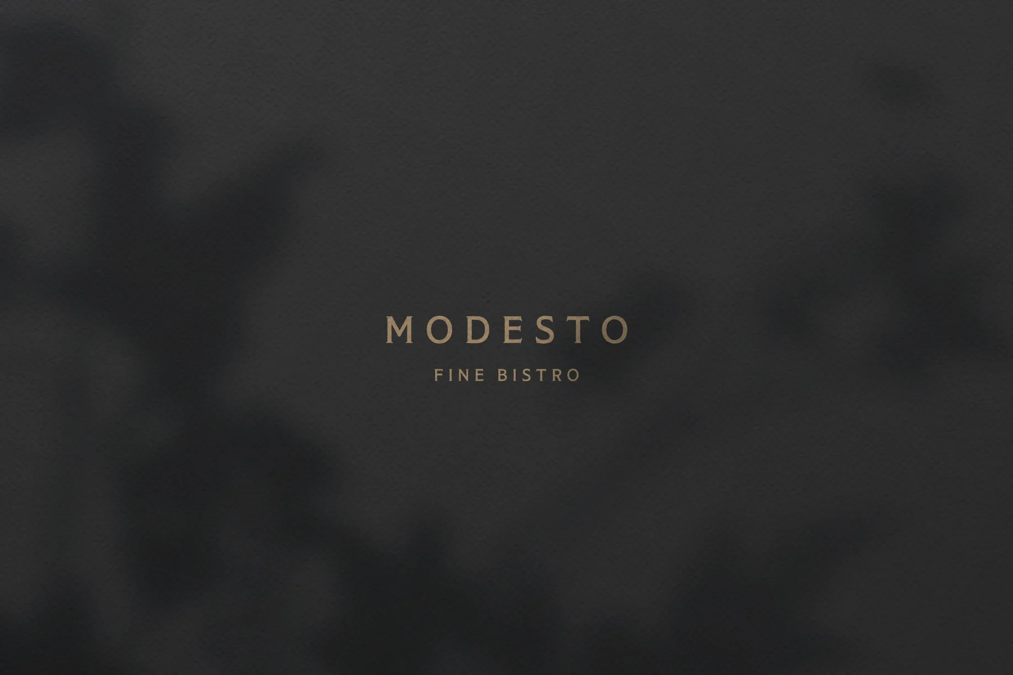ModestoLogoSample.jpg