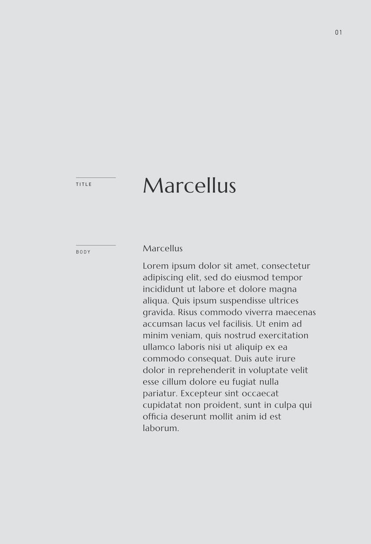 8 Soft and Delicate Fonts (That Are Also Free) — The Denizen Co.